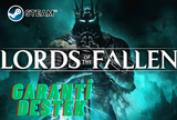 LORDS OF THE FALLEN - KİŞİYE ÖZEL HESAP