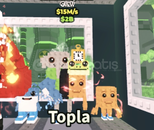 Los Combinasion 15m✨