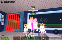 Los combinasion candy 90M/s