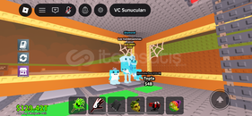 Los combinations Los combinations