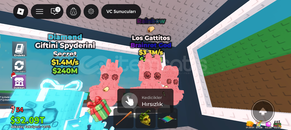 Los Gattitos Rainbow 3.3M/s