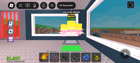 LOS LUCKY BLOCKS SADECE 60 TL!!