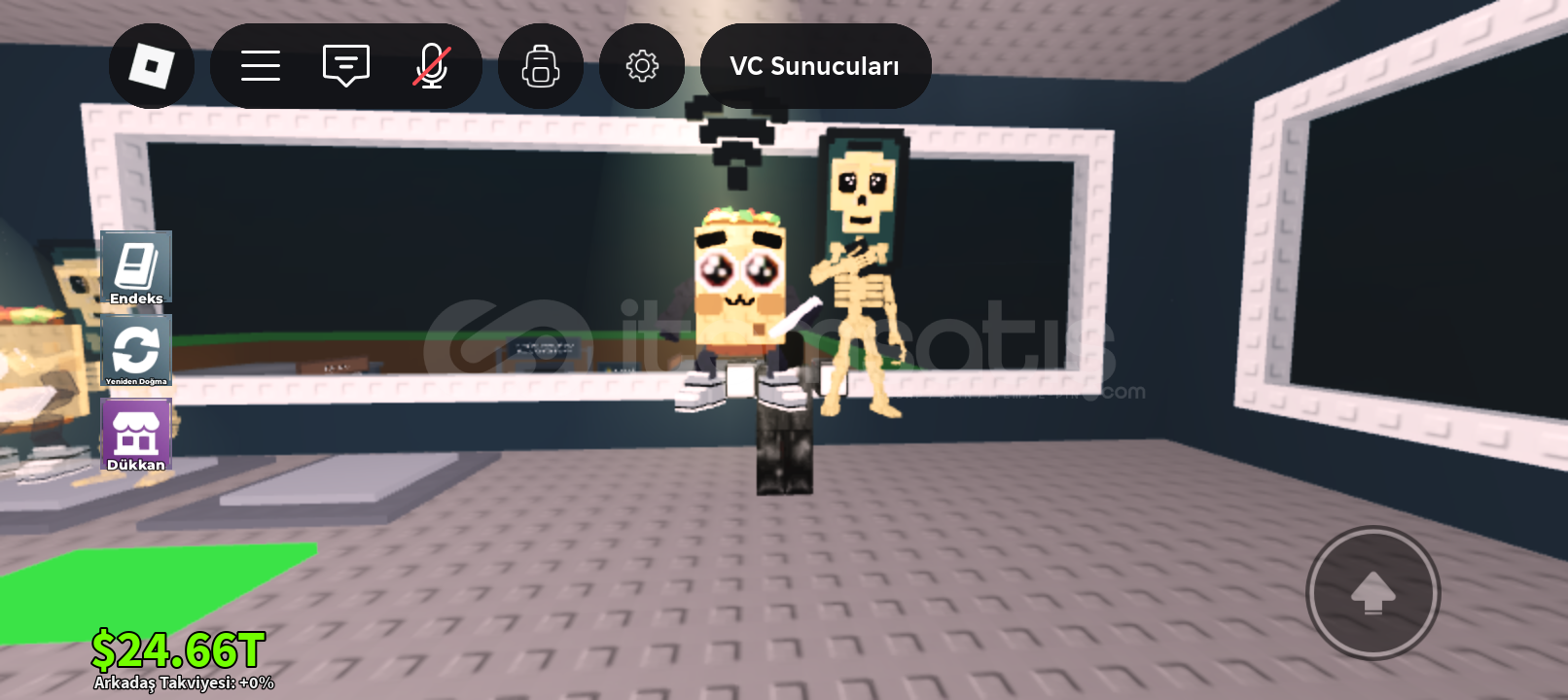 Los mobilis SSS