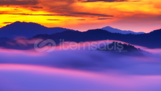 los mobılıs yın yanglı 165 m luk