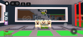 Los puggys 30m!!!!!! Los puggys 30m!!!!!!