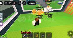 Los quesadillas 15M/s