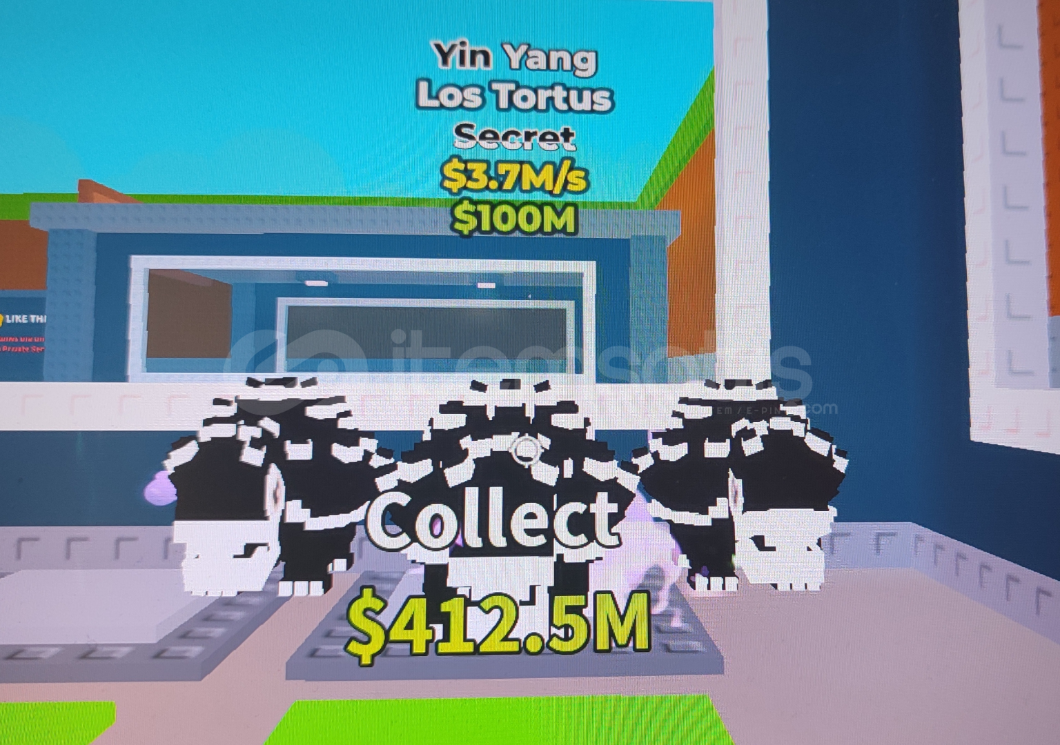 Los tortus yin yang Los tortus yin yang
