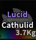  lucid cathulid