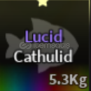 ⭐️ LUCID CATHULID HIZLI TESLİM ⭐️ LUCID CATHULID HIZLI TESLİM