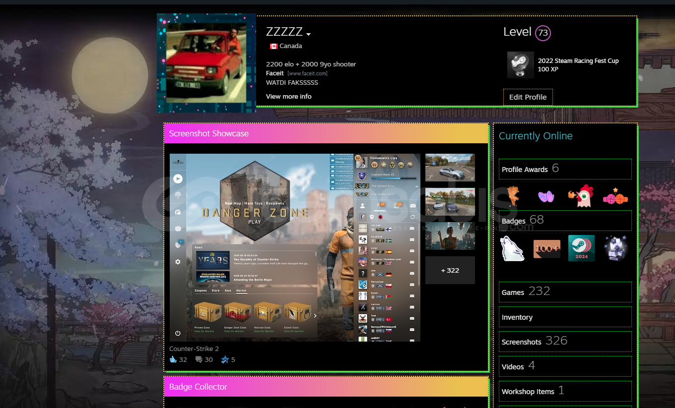 Lv 10 Faceit 4800 saat cs2 li hesap,steam lv 73 Lv 10 Faceit 4800 saat cs2 li hesap,steam lv 73