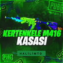 ⚡ M416 KERTENKELE ⚡ RANDOM PUBGM⚡ [FUL + FULL]⚡