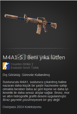 M4A1-S | Beni yıka lütfen