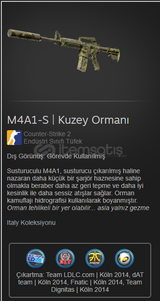 M4A1-S | Kuzey Ormanı ENDER ÇIKARTMALI