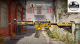 M4A4 | Buzz Kill (Well-Worn)