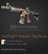 M4A4 | Diş Perisi 