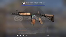 M4a4 poly mag