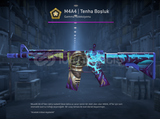 M4A4 | Tenha Boşluk (Görevde Kullanılmış)