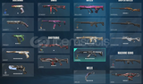 Mail Değişen 1-120 Skin Arası Random Hesap