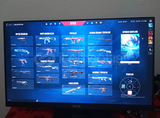 MAİL DEĞİŞEN PEEK PLAT 1 SKİNLİ HESAP