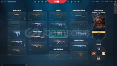 mail degisen skinli hesap al oyna tr