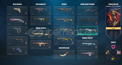 Mail Degisenli Premıum Hesaplar 