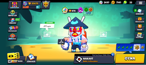 MAİL DEĞİŞMELİ BS HESAP 88 KARAKTER 35K 