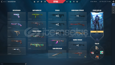 Mail+Oto Teslim +Gırtlak Dolusu Hesap + 1100 VP