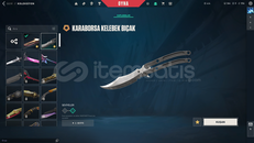 MAİL + Karaborsa Kelebek'li MAİNLİK HESAP