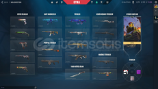 MAİL ONAYLI SKİNLİ HESAP