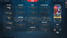 Mail Onaysız + 13 Battle Pass Skin + Platin 1