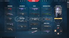 Mail Onaysız + 4 Bıçak + 6 Vandal + 2 Phantom