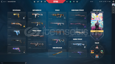 Mail Onaysız + Her Silahta Skin + Mainlik Hesap