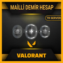 (MAİL ONAYSIZ) TR DEMİR HESAPLAR