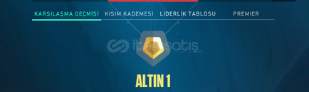 MAİL ONAYSIZ - TR KURULUM - GOLD 1 - OTO TESLİM