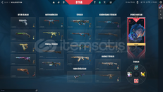 Mail Onaysız + Yitik Vandal + 239 Level