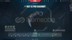 MAİL + RGX 11z Pro Karambit'li 54 SKİN MAİNLİK