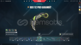 ⭐MAİL + Rgx 11z Pro Karambit + MAİNLİK⭐