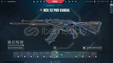 MAİL + RGX 11z Pro Vandal2lı 29 SKİN MAİNLİK