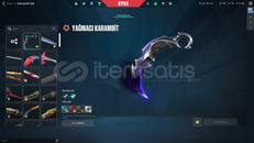 MAİL + Yağmacı Karambit'li MAİNLİK HESAP