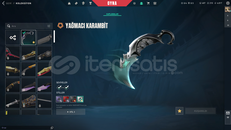 MAİL + Yağmacı Karambit'li MAİNLİK HESAP