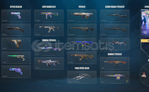 Maili Kayıp Uyguna hesap