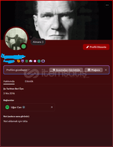 MAİLLE DİSCORD EARLY SUPPORTER HESAP