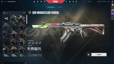 MAİLLİ 2 VANDAL+BATTLPASS+1100VP+820 RADYANİT