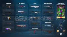 İLK SAHİBİNDEN MAILLI CHAMPIONS VCT HESAP