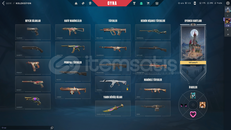 MAİLLİ İON VANDAL + BIÇAKLI HESAP