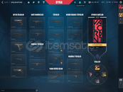 MAİLLİ ÖMÜRLÜK VALORANT HESABI