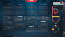 MAİLLİ PLAT 1 HESAP