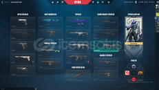 MAİLLİ SKİNLİ HESAP