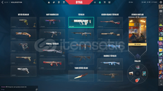 MAİNLEMELİK 11 GELİŞTİRİLEBİLİR SKİNLİ HESAP