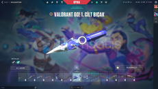 ⭐️VALO+142LVL LOL⭐️5 GELİŞTİRİLEBİLİR SKİN+1BP⭐️